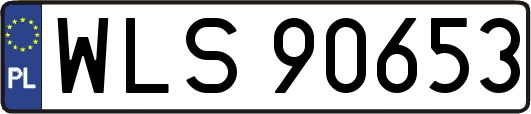 WLS90653