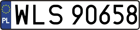 WLS90658