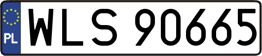 WLS90665