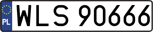 WLS90666