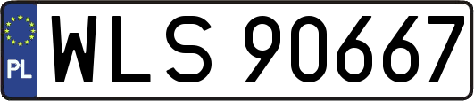 WLS90667