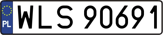 WLS90691
