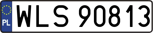 WLS90813