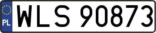 WLS90873