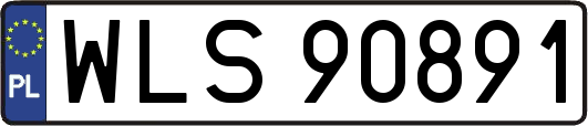 WLS90891