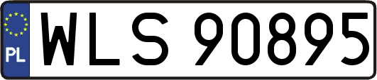 WLS90895
