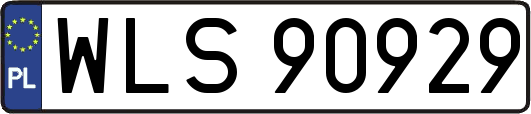 WLS90929