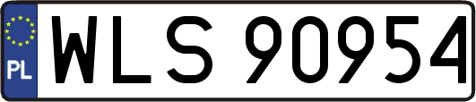 WLS90954