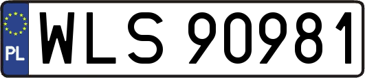 WLS90981