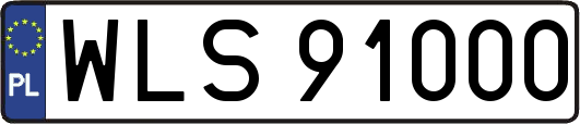 WLS91000
