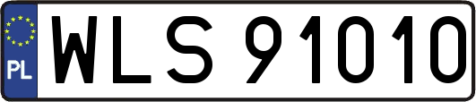 WLS91010