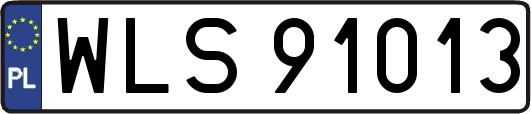 WLS91013