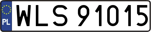 WLS91015