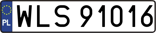 WLS91016