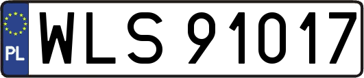 WLS91017