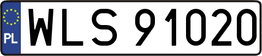 WLS91020