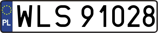WLS91028