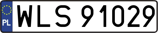 WLS91029