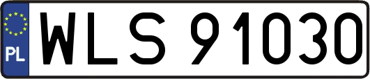 WLS91030