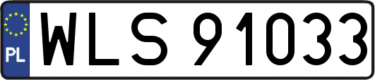 WLS91033