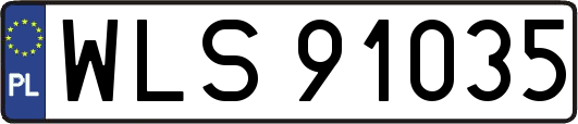 WLS91035