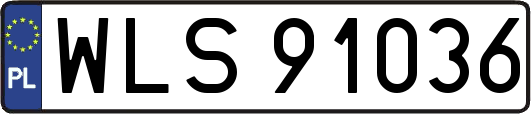 WLS91036