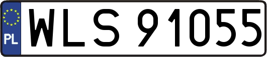 WLS91055