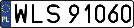 WLS91060