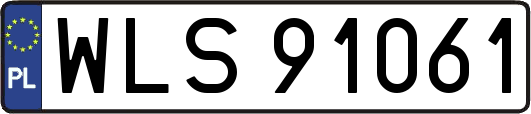 WLS91061