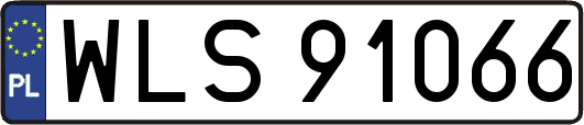 WLS91066