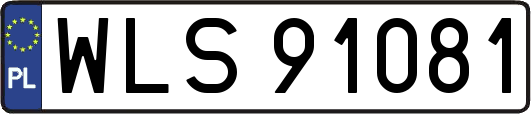 WLS91081