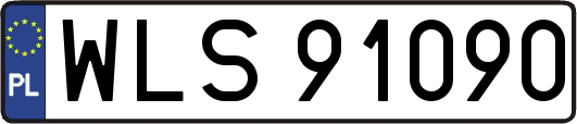 WLS91090