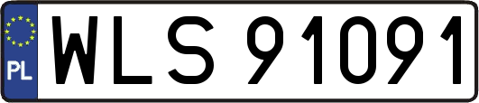 WLS91091