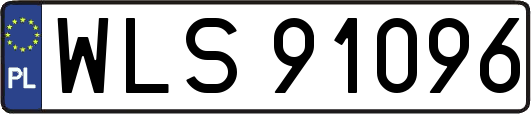 WLS91096