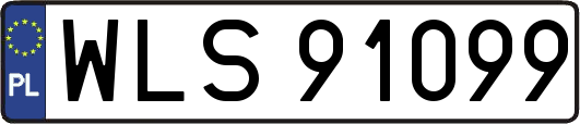 WLS91099