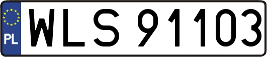 WLS91103