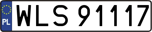 WLS91117