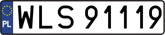 WLS91119