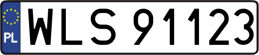 WLS91123
