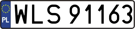 WLS91163