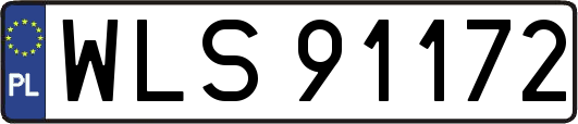 WLS91172