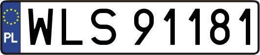 WLS91181