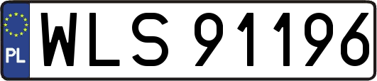 WLS91196