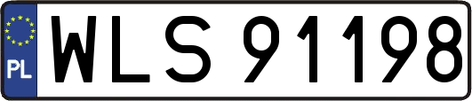 WLS91198
