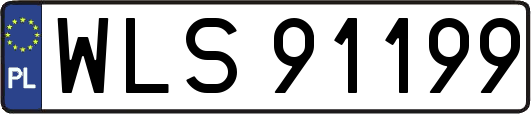 WLS91199