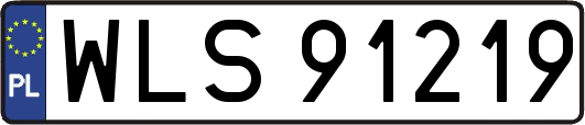 WLS91219
