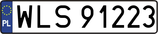 WLS91223