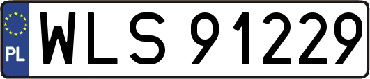 WLS91229