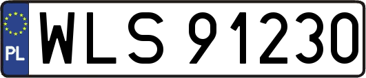 WLS91230