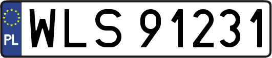 WLS91231
